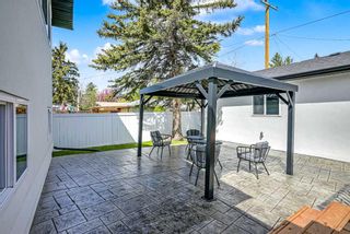 Photo 43: 3316 36 Avenue SW in Calgary: Rutland Park Detached for sale : MLS®# A2136259