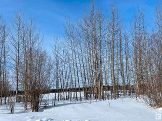 Photo 32: 231 Rge Rd, 624 Twp Rd: Rural Athabasca County Rural Land/Vacant Lot for sale : MLS®# E4281157