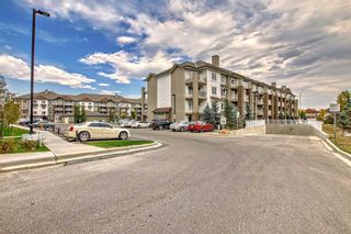 Photo 31: 1405 6118 80 Avenue NE in Calgary: Saddle Ridge Apartment for sale : MLS®# A2081706