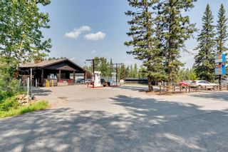 Photo 5: 186007 Priddis Valley Road W: Rural Foothills County Mixed Use for sale : MLS®# A2118195