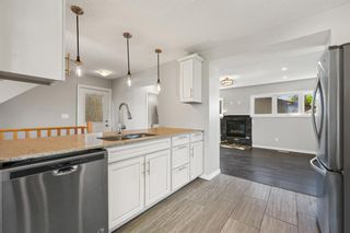Photo 10: 344 Abinger Crescent NE in Calgary: Abbeydale Detached for sale : MLS®# A1224196