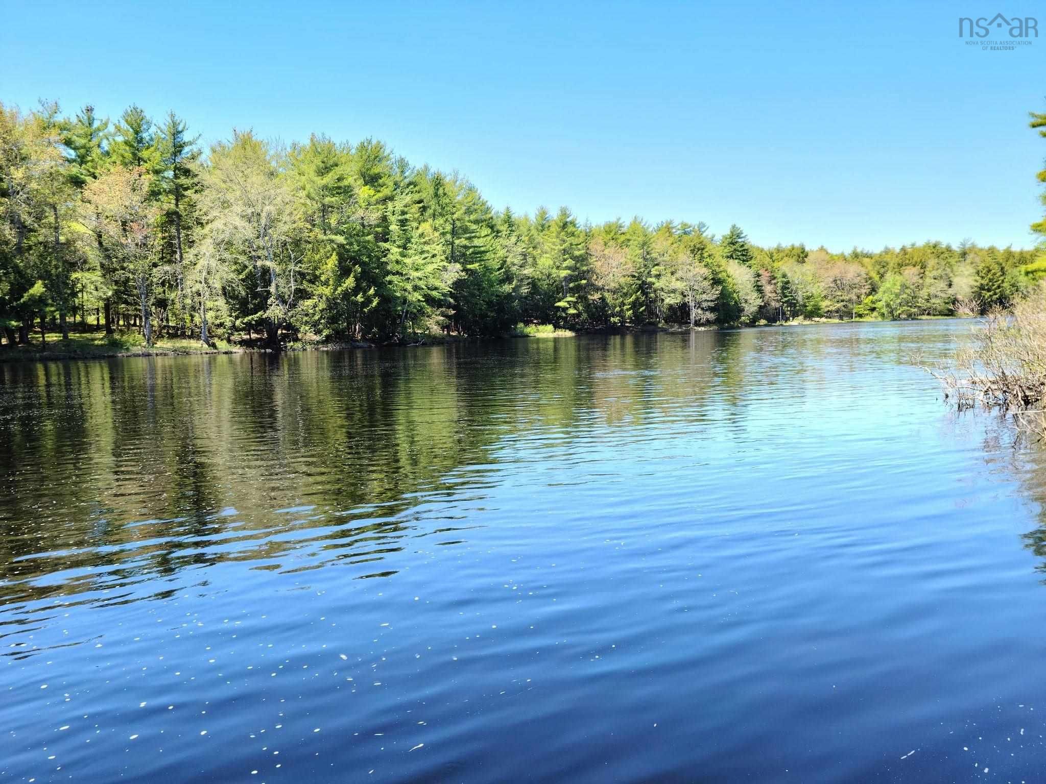 Main Photo: Lot 1 Medway River Road in Bangs Falls: 406-Queens County Vacant Land for sale (South Shore)  : MLS®# 202206174