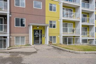Photo 1: 101D 4455 Greenview Drive NE in Calgary: Greenview Apartment for sale : MLS®# A2142665