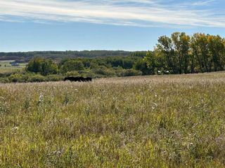 Photo 13: 2900069 Range Road 293: Rural Foothills County Residential Land for sale : MLS®# A2084170