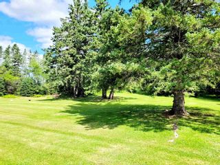 Photo 44: 4321 Scotsburn Road in Scotsburn: 108-Rural Pictou County Residential for sale (Northern Region)  : MLS®# 202316393