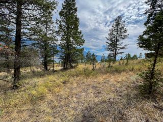 Photo 8: Lot 11 BELLA VISTA BOULEVARD in Fairmont Hot Springs: Vacant Land for sale : MLS®# 2466823