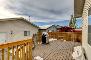 Photo 44: 134 Elgin Way SE in Calgary: McKenzie Towne Detached for sale : MLS®# A2008966