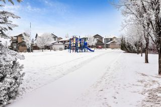 Photo 41: 33 Thornbird Rise SE: Airdrie Detached for sale : MLS®# A1189064