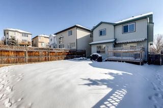 Photo 49: 11530 Tuscany Boulevard NW in Calgary: Tuscany Detached for sale : MLS®# A2029204