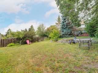 Photo 21: 1152 KINGS Rd in Victoria: Vi Hillside House for sale : MLS®# 915701