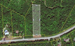 Photo 2: Lot 2 Little Egypt Road in Little Harbour: 108-Rural Pictou County Vacant Land for sale (Northern Region)  : MLS®# 202304739