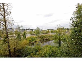 Photo 12: C307 8929 202ND Street in Langley: Walnut Grove Condo for sale in "The Grove" : MLS®# R2145443