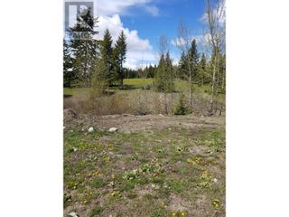 Photo 13: Legal SCUITTO LAKE in Kamloops: Vacant Land for sale : MLS®# 176532
