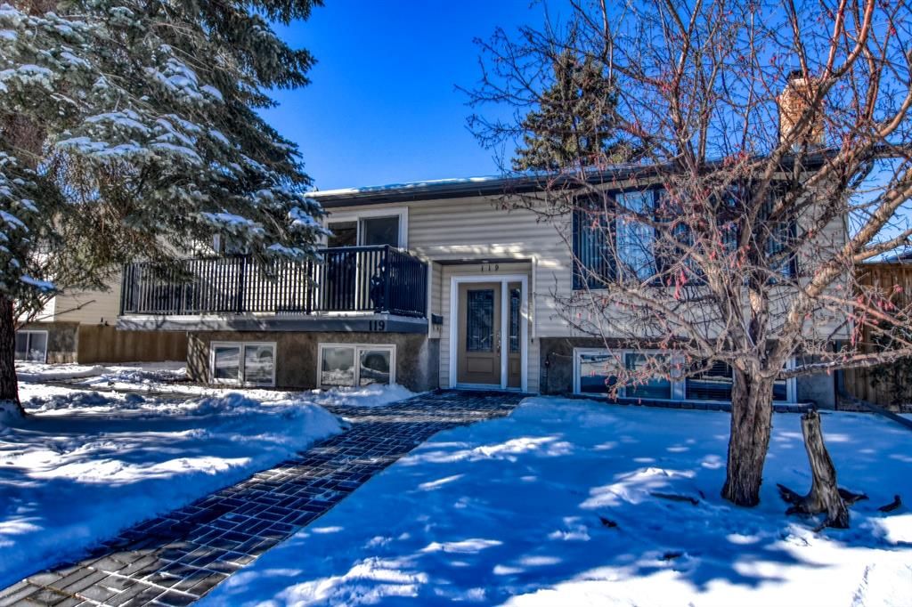 Main Photo: 119 Madeira Place NE in Calgary: Marlborough Park Detached for sale : MLS®# A1185857