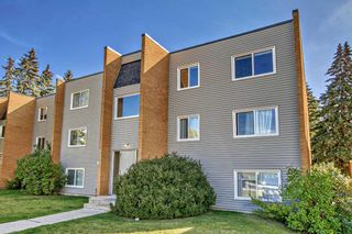 Photo 2: 302 3506 44 Street SW in Calgary: Glenbrook Apartment for sale : MLS®# A2079706