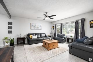 Photo 3: 3828 46 Street in Edmonton: Zone 29 House for sale : MLS®# E4384060