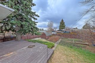 Photo 8: 4311 19 Street NW in Calgary: Charleswood Detached for sale : MLS®# A2127918