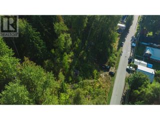 Photo 4: 130 Maple Street in Revelstoke: Vacant Land for sale : MLS®# 10262697