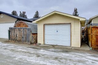 Photo 36: 16 Erin Ridge Road SE in Calgary: Erin Woods Detached for sale : MLS®# A1174623