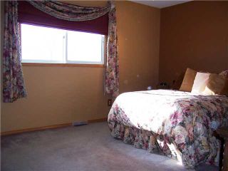 Photo 7: 63 EMBERDALE Way SE: Airdrie Residential Detached Single Family for sale : MLS®# C3423057