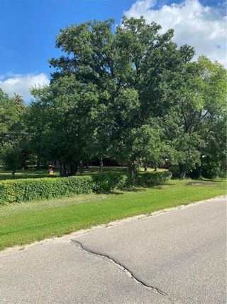 Photo 2: 53 Maple Avenue in Grunthal: Vacant Land for sale : MLS®# 202220162