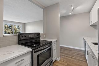 Photo 2: 405 635 56 Avenue SW in Calgary: Windsor Park Apartment for sale : MLS®# A2015574