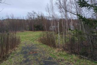 Photo 5: 03 1E Point Forty Four Road in Little Harbour: 108-Rural Pictou County Vacant Land for sale (Northern Region)  : MLS®# 202209167