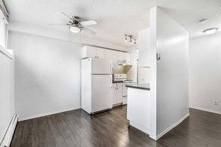 Photo 8: 105 626 2 Avenue NE in Calgary: Bridgeland/Riverside Apartment for sale : MLS®# A2128895