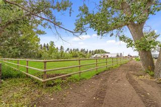 Photo 26: 30146 Range Road 270: Rural Mountain View County Detached for sale : MLS®# A2122838