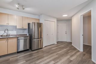 Photo 6: 417 1717 60 Street SE in Calgary: Red Carpet Apartment for sale : MLS®# A2053930