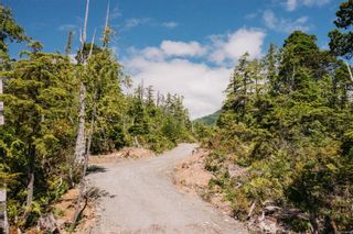 Photo 10: LOT B Hawkes Rd in Ucluelet: PA Ucluelet Land for sale (Port Alberni)  : MLS®# 924860