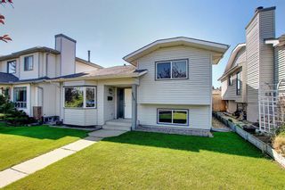 Photo 41: 2115 24 Avenue NE in Calgary: Vista Heights Detached for sale : MLS®# A1018217