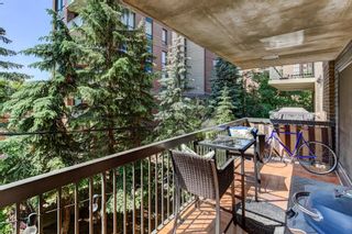 Photo 25: 306 225 25 Avenue SW in Calgary: Mission Apartment for sale : MLS®# A2054705
