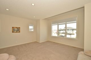 Photo 35: 313 WALDEN Square SE in Calgary: Walden Detached for sale : MLS®# C4206498