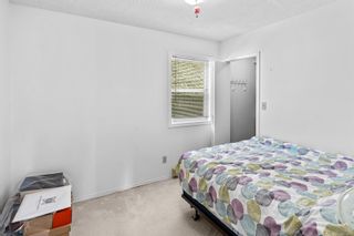 Photo 13: 2581 Cook St in Victoria: Vi Oaklands Half Duplex for sale : MLS®# 930938