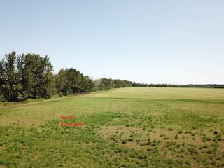 Photo 12: 27313 Twp Road 505: Rural Parkland County Rural Land/Vacant Lot for sale : MLS®# E4255712