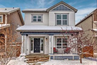 Main Photo: 382 Copperpond Boulevard SE in Calgary: Copperfield Detached for sale : MLS®# A2116930