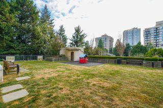 Photo 34: 602 7225 ACORN Avenue in Burnaby: Highgate Condo for sale (Burnaby South)  : MLS®# R2534220