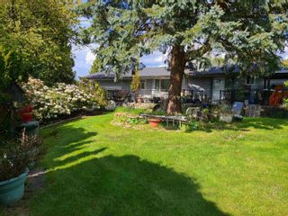 Photo 6: 20583 DEWDNEY TRUNK Road in Maple Ridge: Northwest Maple Ridge House for sale : MLS®# R2699945