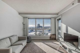 Photo 18: 1012 8880 Horton Road SW in Calgary: Haysboro Apartment for sale : MLS®# A2096304