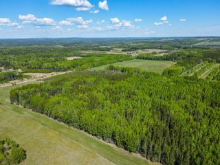 Photo 12: NW-3-45-7-W5   West of Cowboy Trail Hwy #22 in Rural Wetaskiwin No. 10, County of: Rural Wetaskiwin County Residential Land for sale : MLS®# A1230343