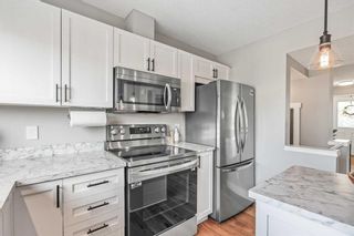 Photo 9: 315 Elgin Place SE in Calgary: McKenzie Towne Semi Detached (Half Duplex) for sale : MLS®# A2125635