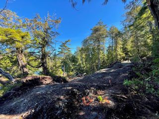 Photo 24: 1172 Coral Way in Ucluelet: PA Ucluelet Land for sale (Port Alberni)  : MLS®# 915673
