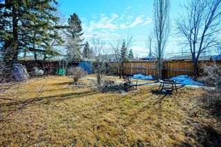Photo 3: 4652 80 Street NW in Calgary: Bowness Detached for sale : MLS®# A2022100