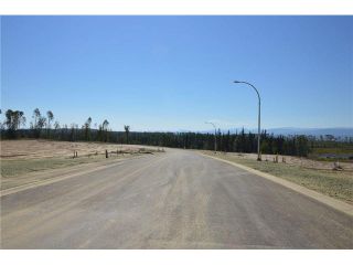 Photo 13: LOT 4 BELL Place in Mackenzie: Mackenzie -Town Land for sale in "BELL PLACE" : MLS®# N227296