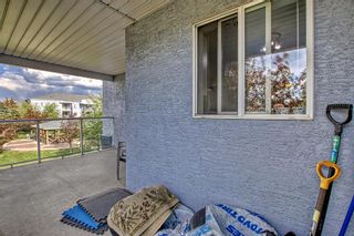 Photo 25: 1215 2280 68 Street NE in Calgary: Monterey Park Apartment for sale : MLS®# A2054328