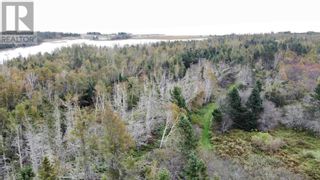 Photo 6: Acreage Bruce Point Road in Launching: Vacant Land for sale : MLS®# 202324327