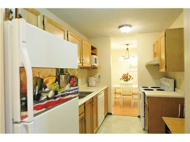 Photo 3: Photos: # 318 8600 ACKROYD RD in Richmond: Brighouse Condo for sale : MLS®# V992406