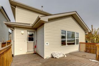 Photo 42: 134 Elgin Way SE in Calgary: McKenzie Towne Detached for sale : MLS®# A2008966