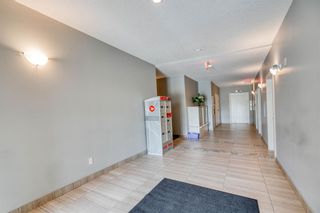 Photo 29: 3303 522 Cranford Drive SE in Calgary: Cranston Apartment for sale : MLS®# A2054717